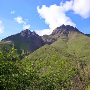 Meet your Posher, Jenni